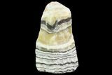 Freestanding Banded Zebra Calcite - Mexico #129468-1